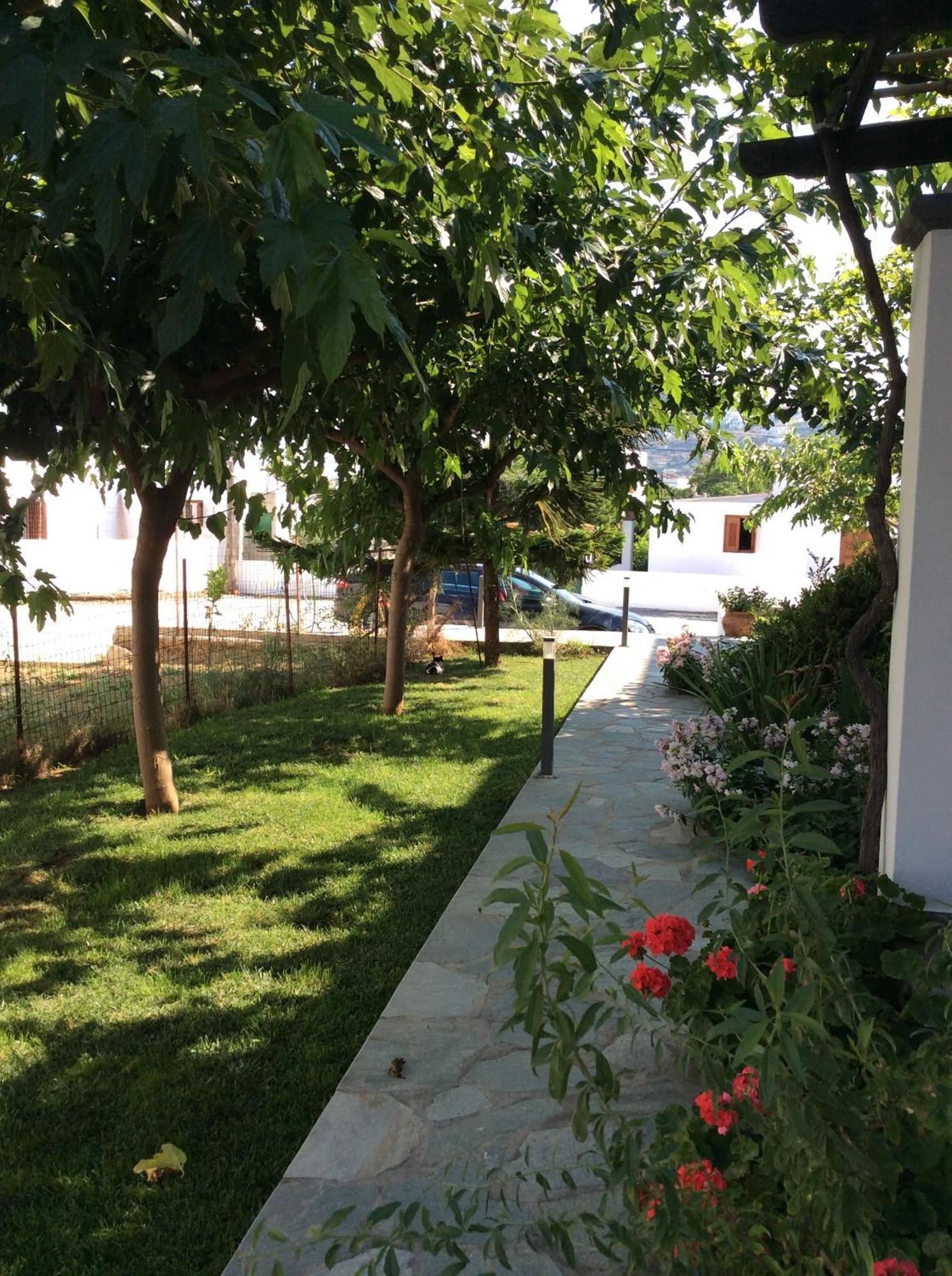 Eleana Studios Skyros Pokoj fotografie