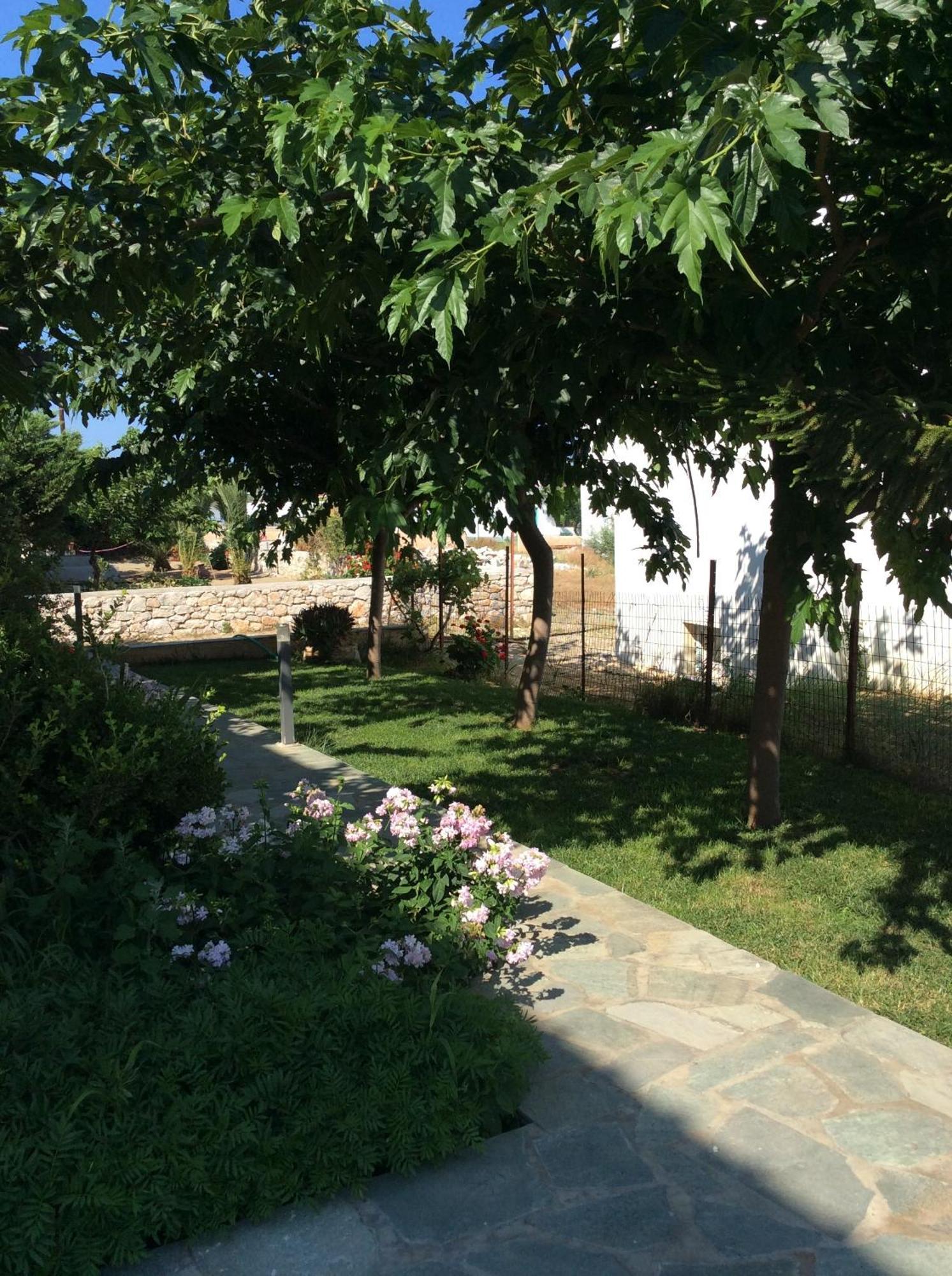 Eleana Studios Skyros Exteriér fotografie