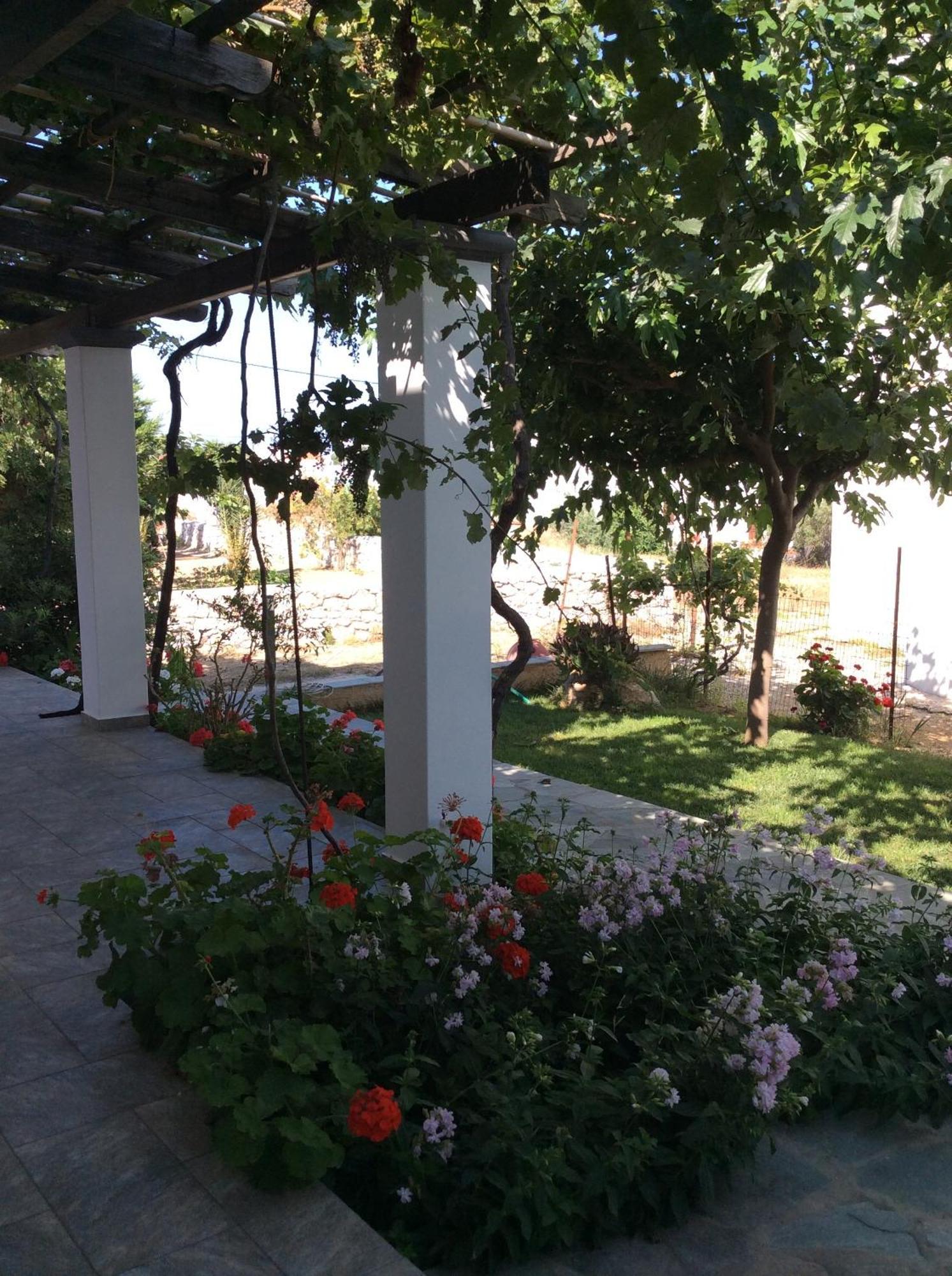 Eleana Studios Skyros Exteriér fotografie