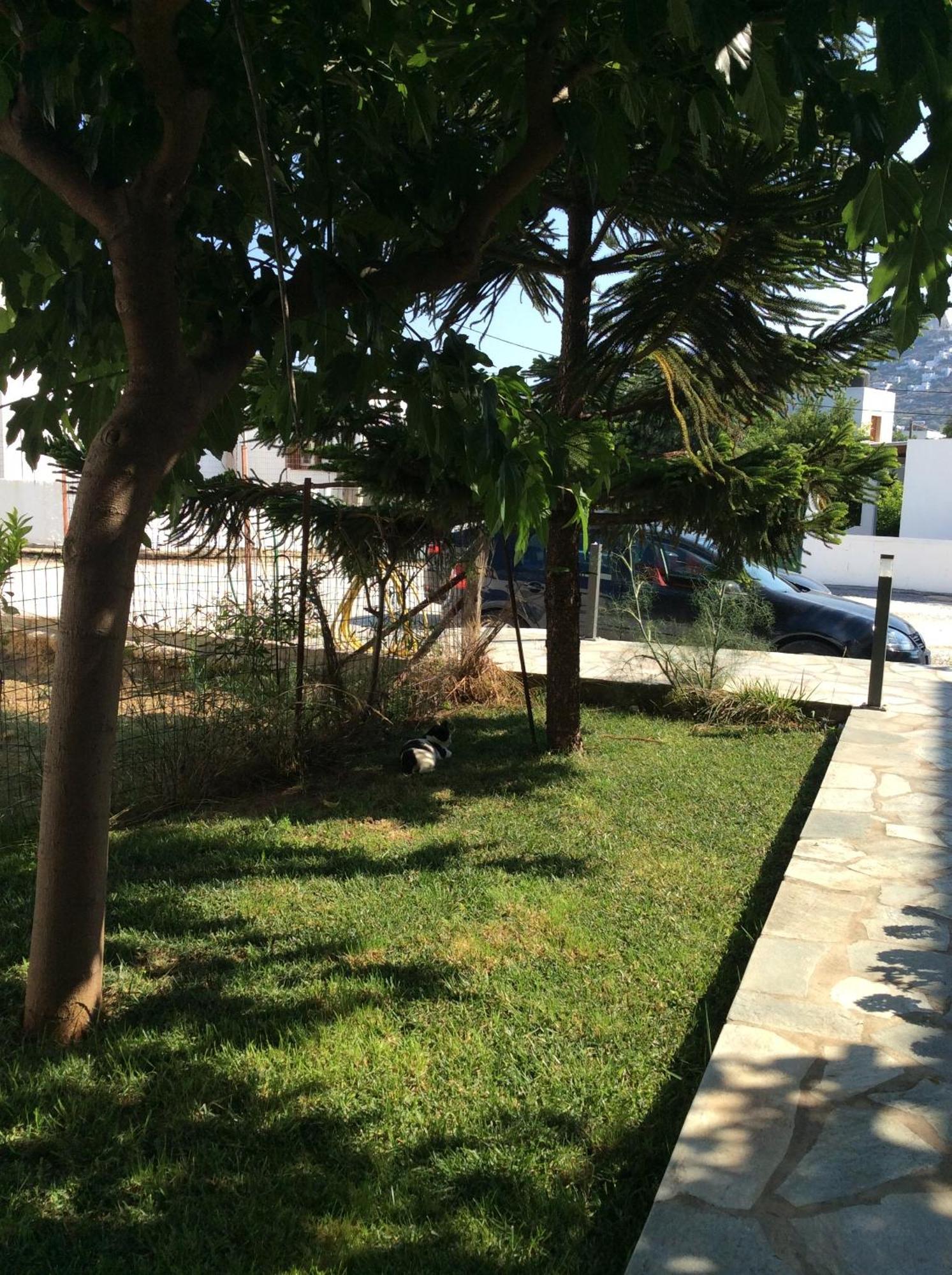 Eleana Studios Skyros Exteriér fotografie
